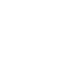 Genie logo