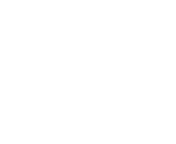 Rail King logo