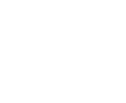 Skyjack logo