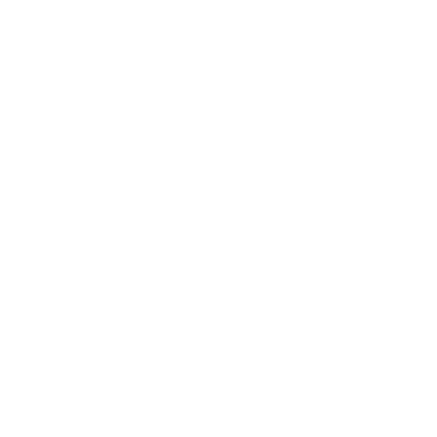 transparent-polaris-logo-white-480x53