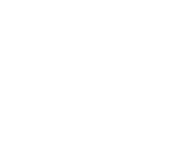 Rico logo
